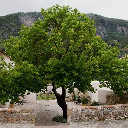 فندق البوسكيفي  Casa Rural El Vihuelo المظهر الخارجي الصورة