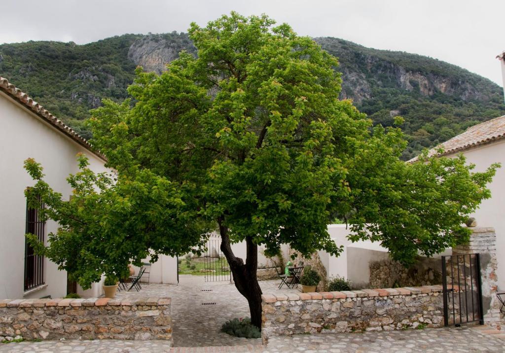 فندق البوسكيفي  Casa Rural El Vihuelo المظهر الخارجي الصورة