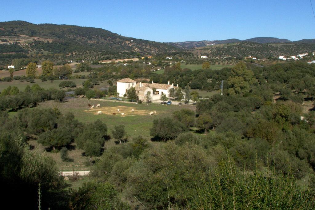 فندق البوسكيفي  Casa Rural El Vihuelo المظهر الخارجي الصورة